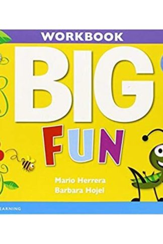 Big Fun 2 Workbook with Audio CD