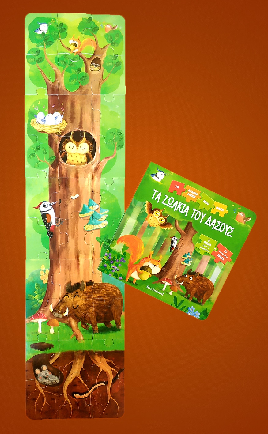 Τα Ζωάκια του Δάσους