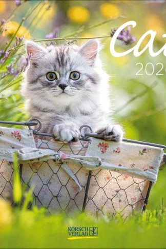 Ημερολόγιο Τοίχου Korsch Verlag 2026 Cats