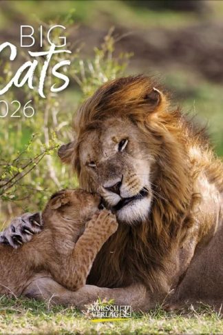 Ημερολόγιο Τοίχου Korsch Verlag 2026 Big Cats