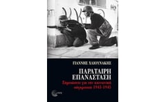 Παράταιρη επανάσταση