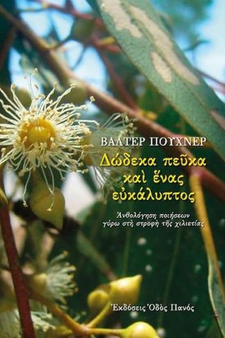 Δώδεκα πεύκα και ένας ευκάλυπτος