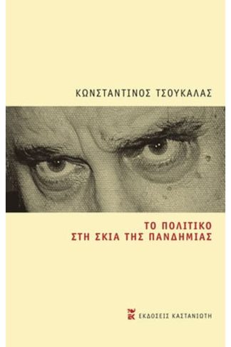 Το πολιτικό στη σκιά της πανδημίας