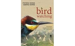 Bird watching
