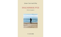 Ένας κόκκος ρύζι